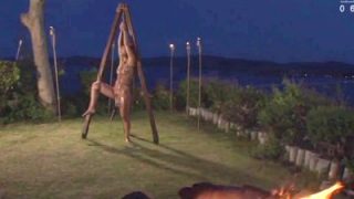 Thumbnail of post image 194